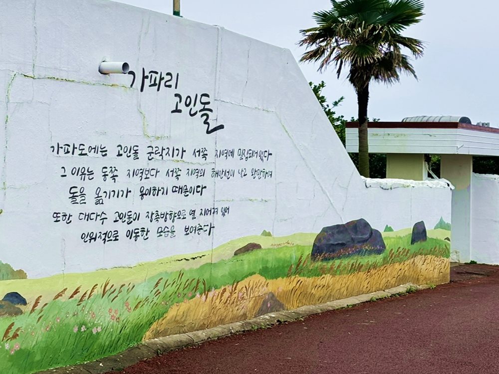 양귀비