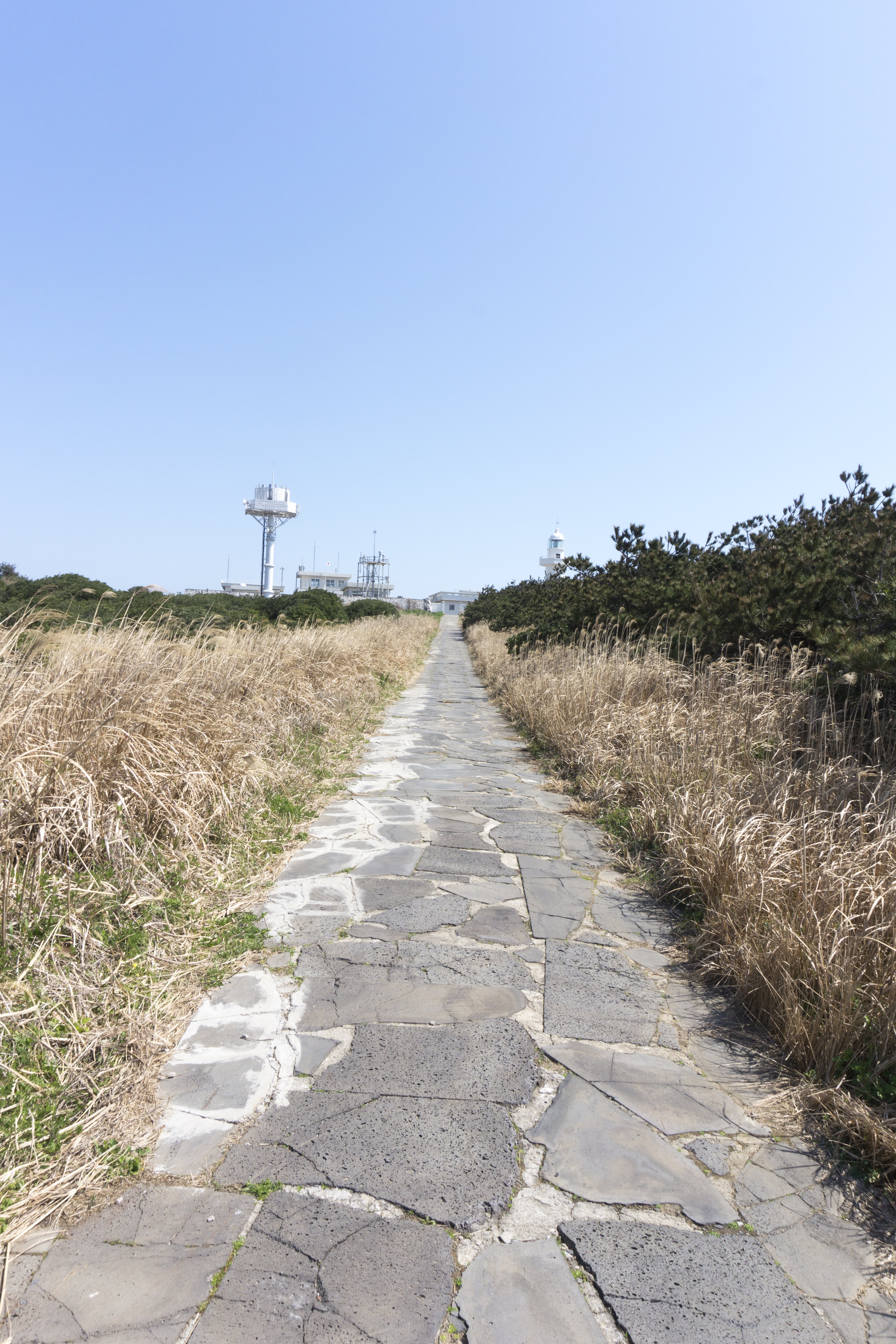 마라도등대